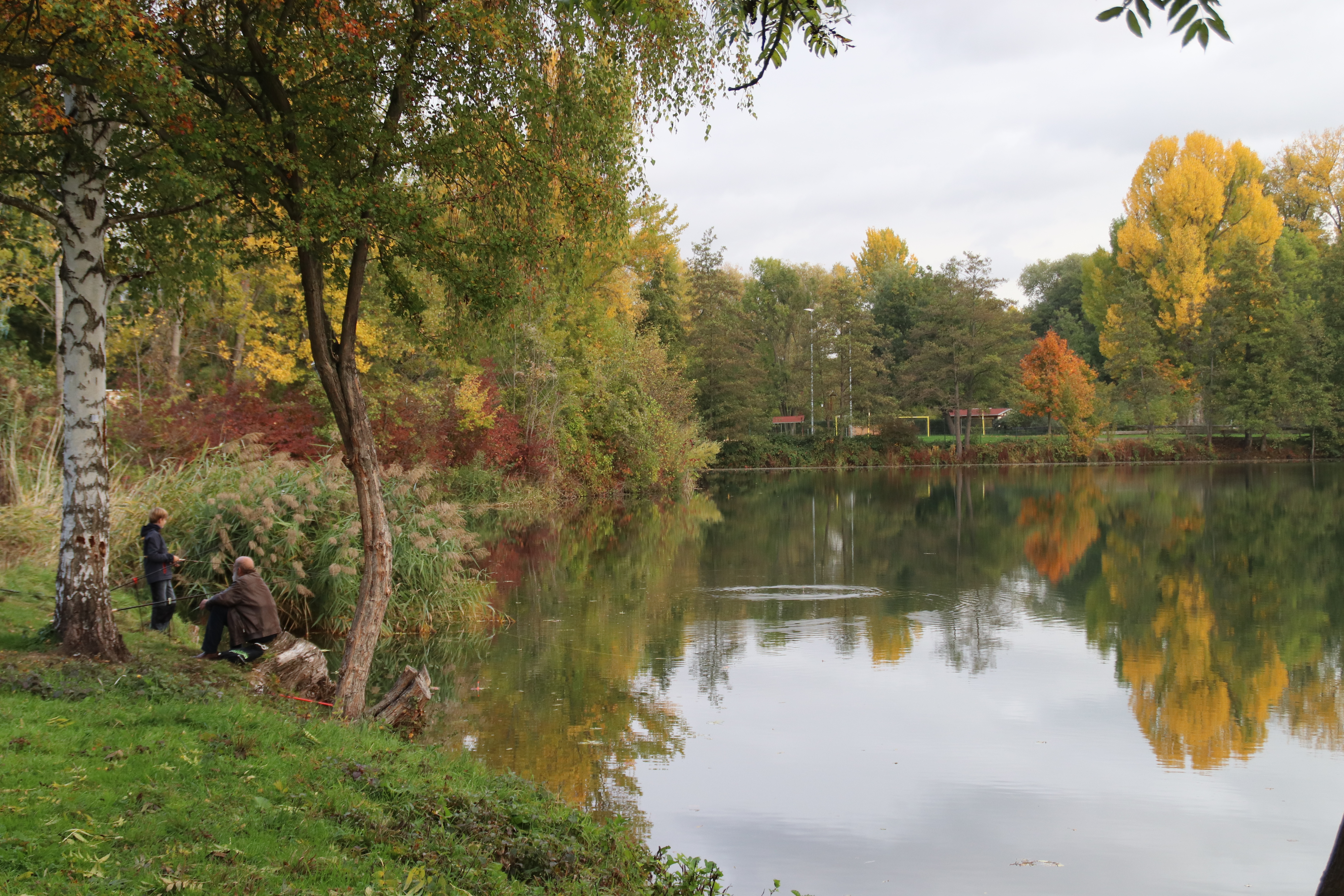 Schleichersee